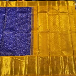 Violet blue Kanjivaram