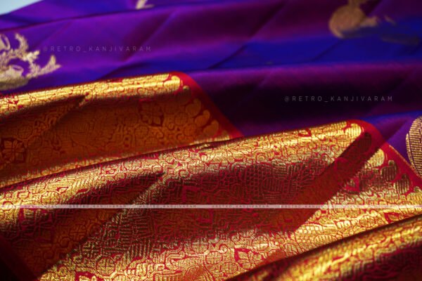 violet kanjivaram
