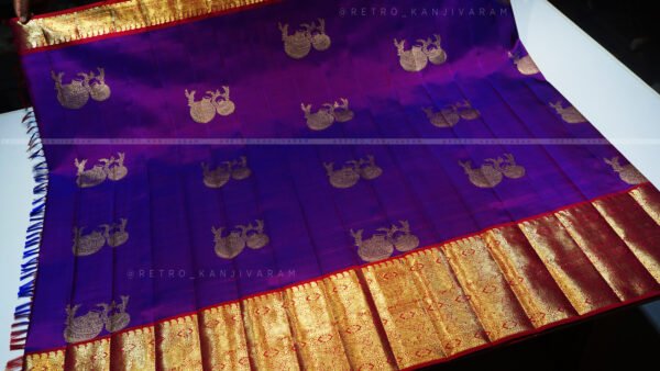 violet kanjivaram